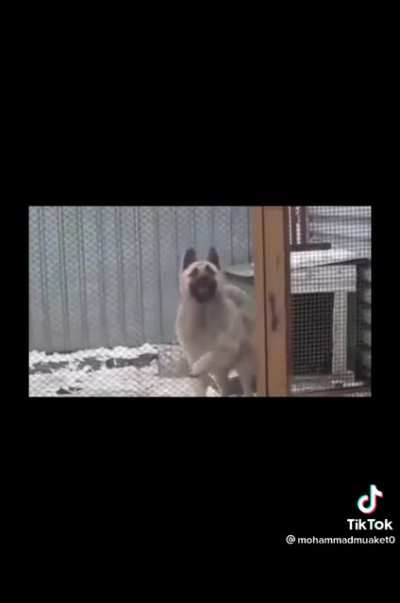 😃