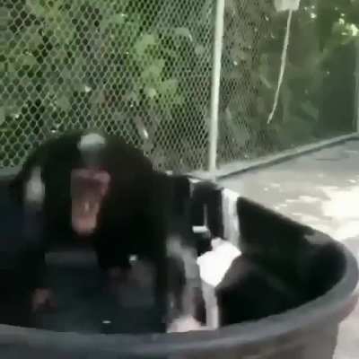 Play time