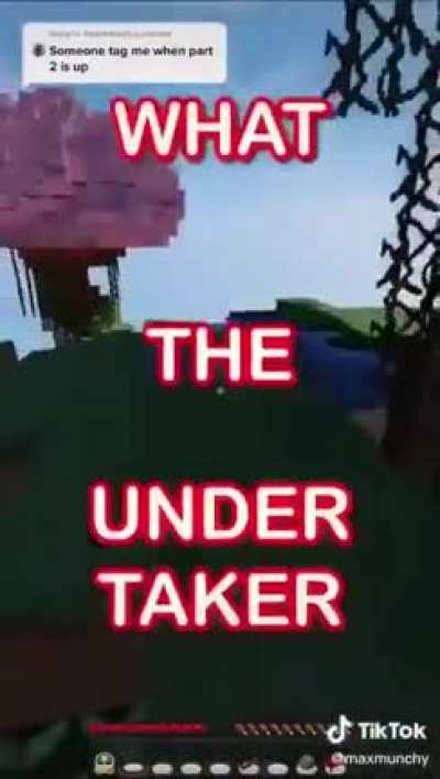 Minecraft WoW