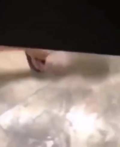 Cursed_bathroom stall