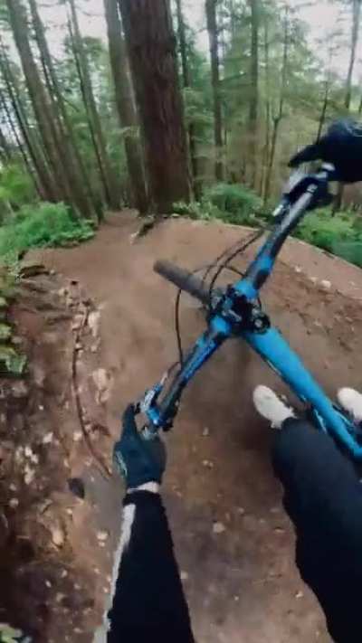 Rough ride today…