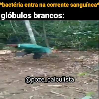só os mais brabos vão entender KKKKKKKKKKKKKK