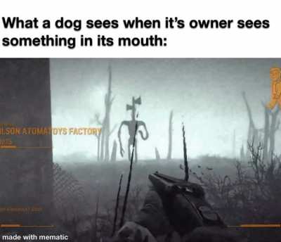 Get over here boy