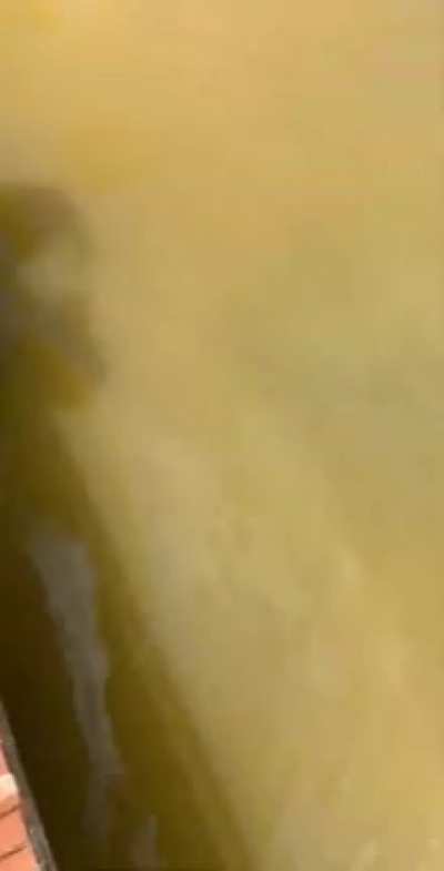 WAP angry freakout