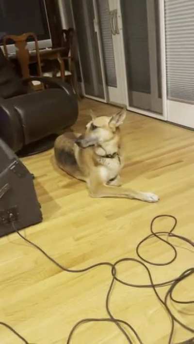 While practicing backup vocals, the guitarist’s good girl sang more in key than we did