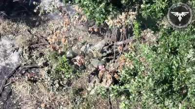 Pilots from the Strike Drones Company (47 OMBr) wound a Russian soldier behind a tree with an FPV drone, another soldier tends to his wounds but a second FPV hits them both.