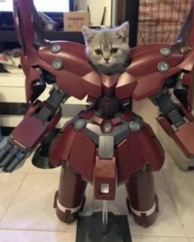 Iron Cat, bringer of doom and destruction