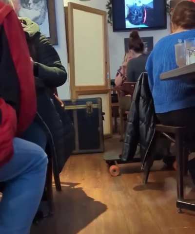 just chonk in cafe
