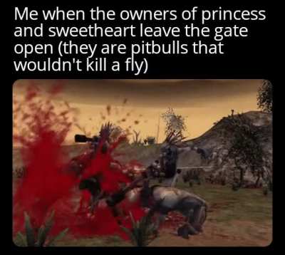 This didn't happened to me (yet)