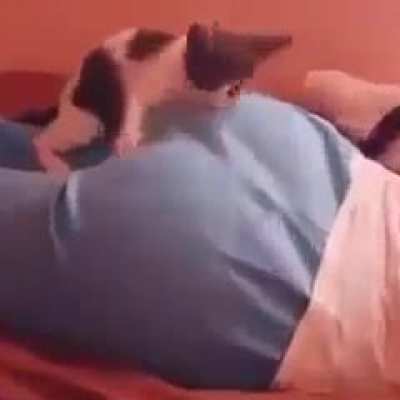 Ahhhahahaha kitty monch the butt