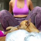 The dog at the end