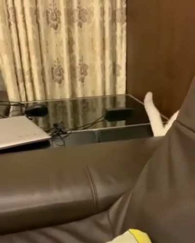 Falling through a crack!