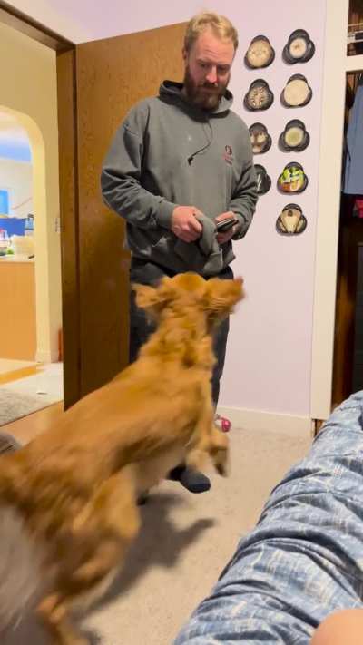 I’m so happy dad’s home that I turned into a kangaroo.