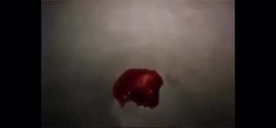 cursed_creature