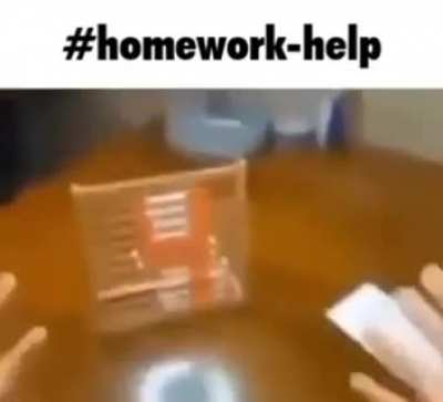 Moldy homework
