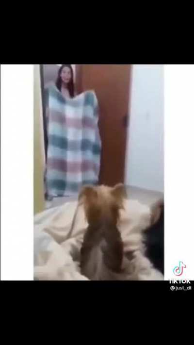 Look this