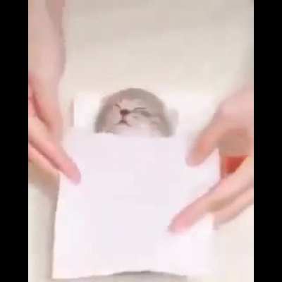 Who the heck made that? (My dad sent this vid to me for SOME reason)