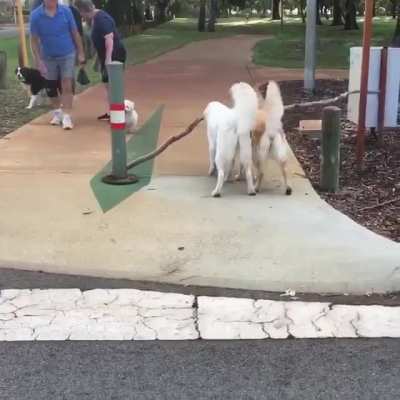 Maybe Maybe Maybe