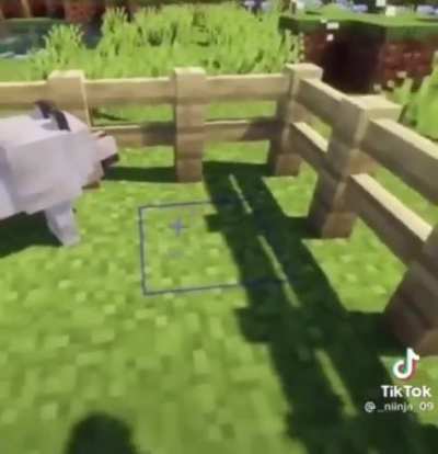 halal rule