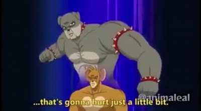 furry_irl