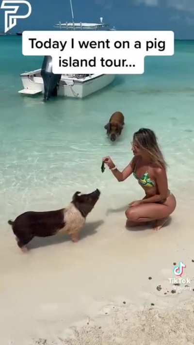 ohh she didn't see!
