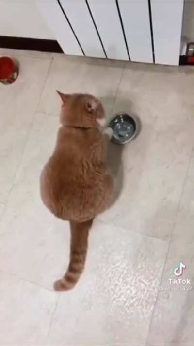 “Now I call this song; I’m starving”