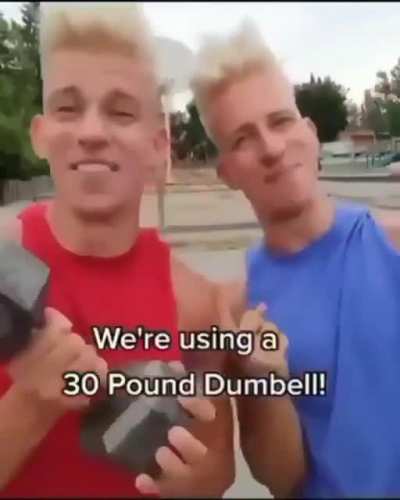 Looks fun