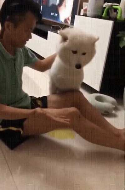 Just like magic