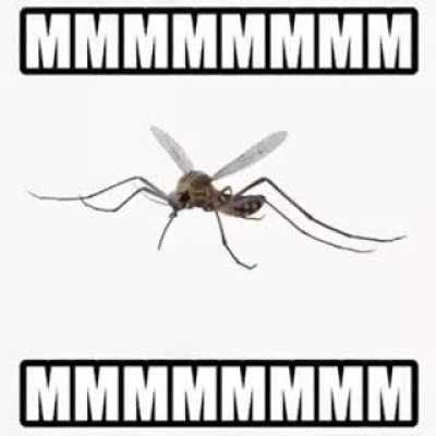 MMMMMMMM