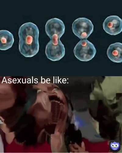 First gif meme