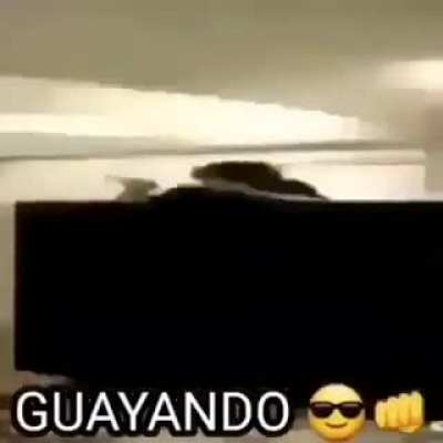 Guayando 😎