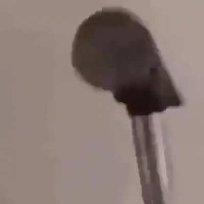 BONK