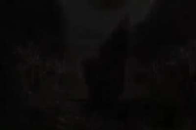 cursed_baby