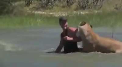 Once a big cat decides it’s time to burn some energy, it’s already too late