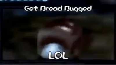 You just got breadbug’d