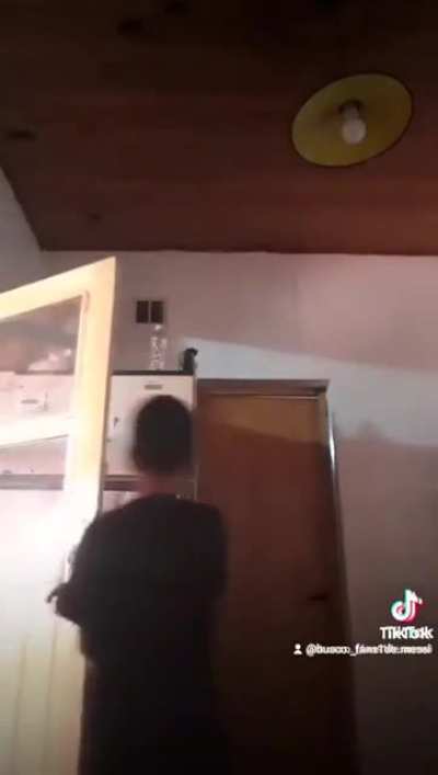 BeelcitosMemes - Video #5947