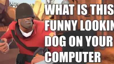 Solider likes the funny dog caw caw