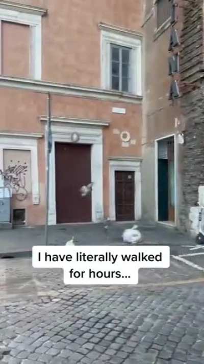 We forgot someone on earth