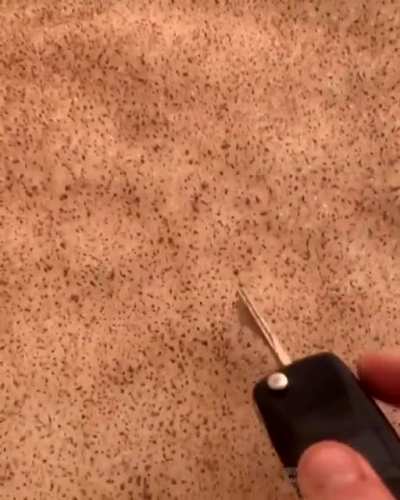 Sahra çölünden gelen kum bulutları Avrupa’da karı kaplamış amk