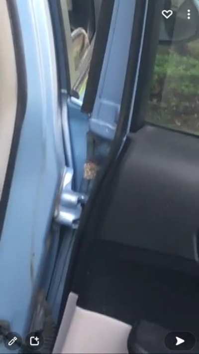 Me trying to clean the car…