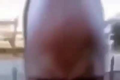 DANMMM