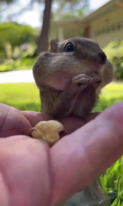 Maybe Maybe Maybe