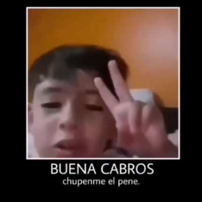 Wena cauros