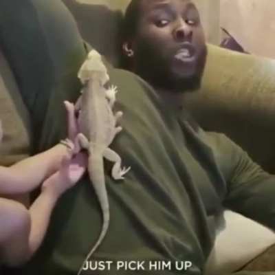Pick him up