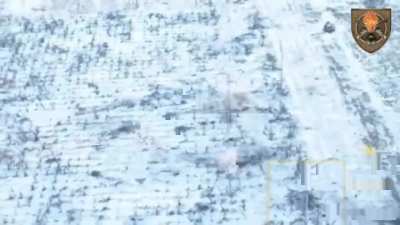 Ukraine 22nd Brigade video - Russians in winter colors are trying to attack across a field, running with many being hit with Mk19 grenade launcher, mortar, cluster cassettes, et c., January 29