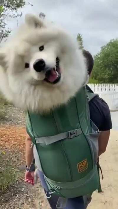 Going for a hike