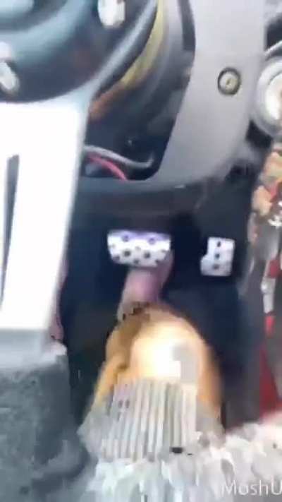 How it feels driving in dreams