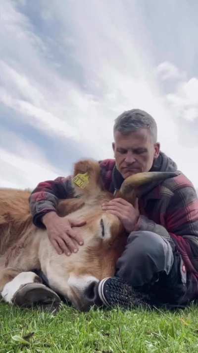 We all need somebody to lean on