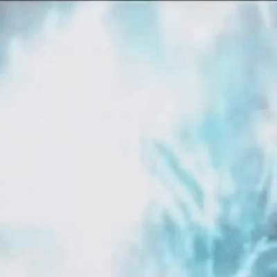Godzilla Vs King Kong within 10 seconds of the Fight