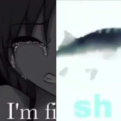 sh
